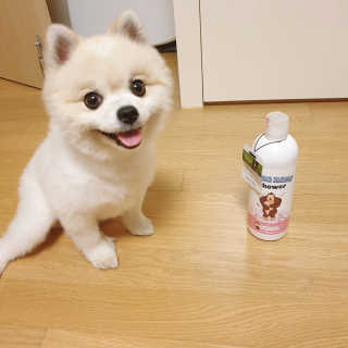 박잉님이 올린 리뷰 사진 1