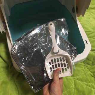 이브생로랑님이 올린 리뷰 사진 3