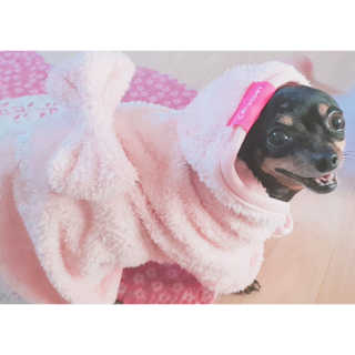 하은Mom❤님이 올린 리뷰 사진 1