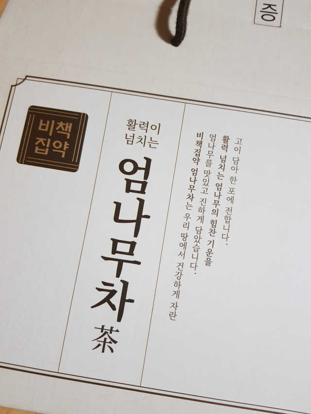 비책집약 리뷰 사진