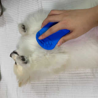 융이님이 올린 리뷰 사진 1