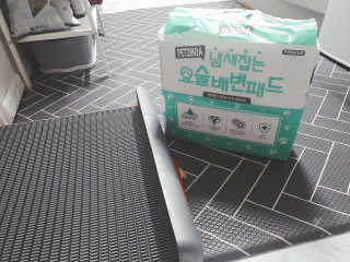 페츠모아 냄새잡는 요술배변패드 — 5점을 준 리뷰어가 2020년 3월 올린 사용 사진