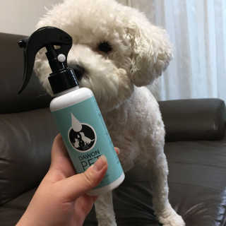 혜진님이 올린 리뷰 사진 4