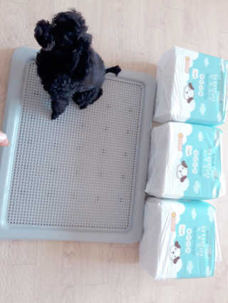 꼬몽님이 올린 리뷰 사진 1
