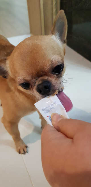 삼공주네님이 올린 리뷰 사진 4