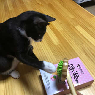 YE_BIN00님이 올린 리뷰 사진 2