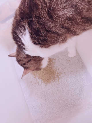 김화안님이 올린 리뷰 사진 3