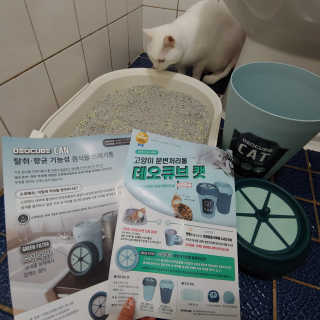 규빈띵쏘님이 올린 리뷰 사진 3