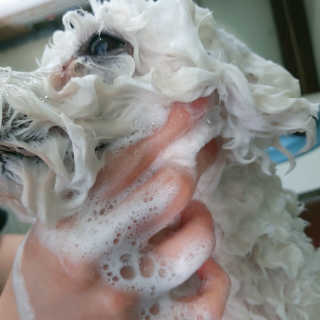이민아님이 올린 리뷰 사진 2