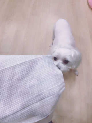 달곰이 물티슈 — 5점을 준 리뷰어가 2017년 7월 올린 사용 사진