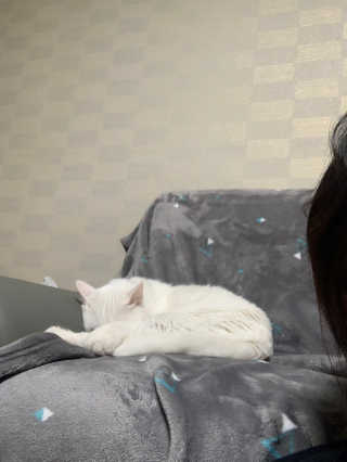 례진님이 올린 리뷰 사진 3