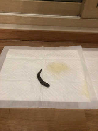 바다님이 올린 리뷰 사진 3