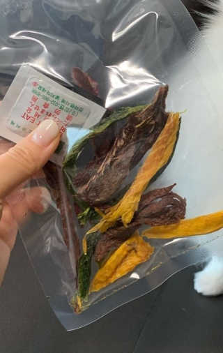 펫테라피 플레이트 야채품은 하루황태 — 4점을 준 리뷰어가 2020년 1월 올린 사용 사진