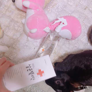 [펫토리아]살균뚝딱 강아지 고양이 살균소독제 탈취제 — 5점을 준 리뷰어가 2019년 10월 올린 사용 사진