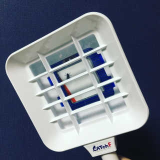 덤보님이 올린 리뷰 사진 2