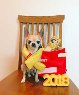 기현님이 올린 리뷰 사진 1