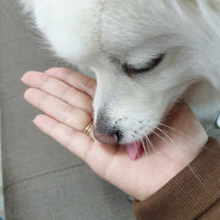 복디누나님이 올린 리뷰 사진 3