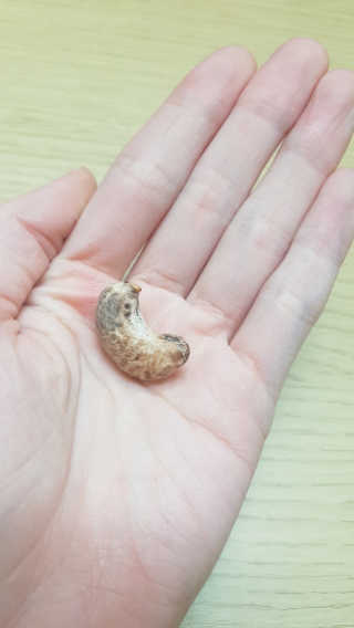 재유JaeYou님이 올린 리뷰 사진 3