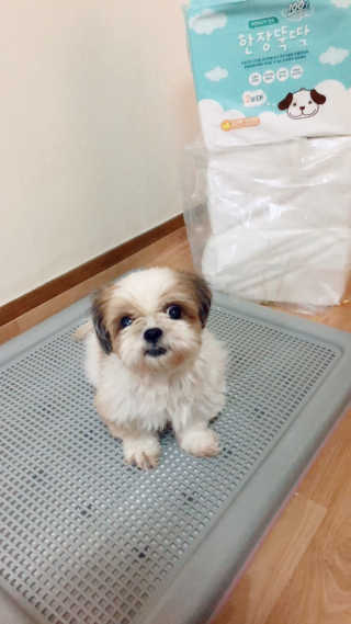 쩌내님이 올린 리뷰 사진 1