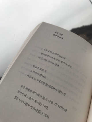 이지닝님이 올린 리뷰 사진 2