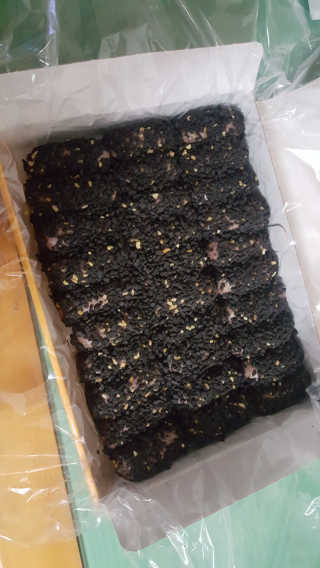 장대웅님이 올린 리뷰 사진 2