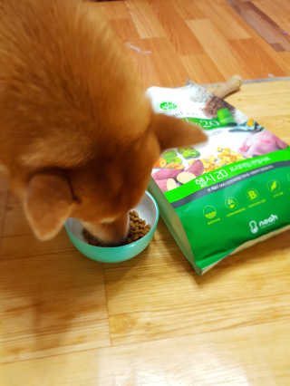 컴백08리터님이 올린 리뷰 사진 2
