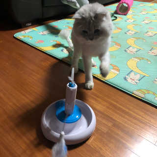 hyesu님이 올린 리뷰 사진 3