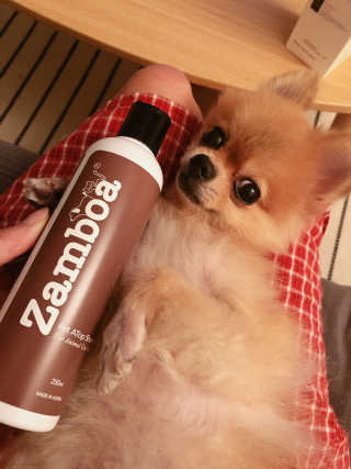 우희베베님이 올린 리뷰 사진 3