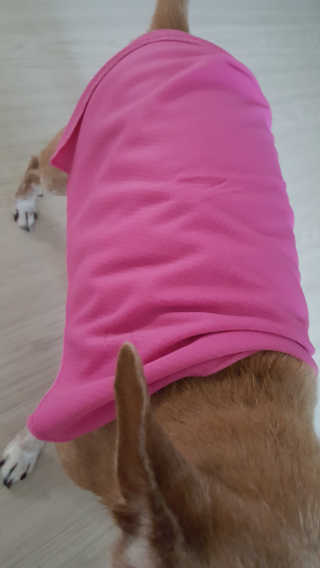 유진오님이 올린 리뷰 사진 3