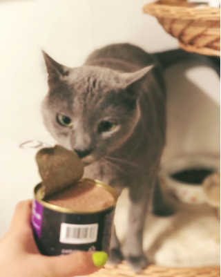 은쓸님이 올린 리뷰 사진 1