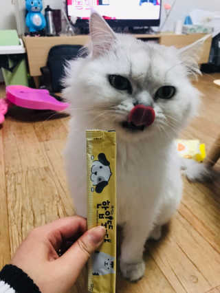 [펫토리아] 강아지,고양이겸용 짜먹는 한입뚝딱 — 5점을 준 리뷰어가 2019년 2월 올린 사용 사진