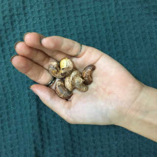 드림캐슈넛 50g X 6개 — 5점을 준 리뷰어가 2018년 9월 올린 사용 사진