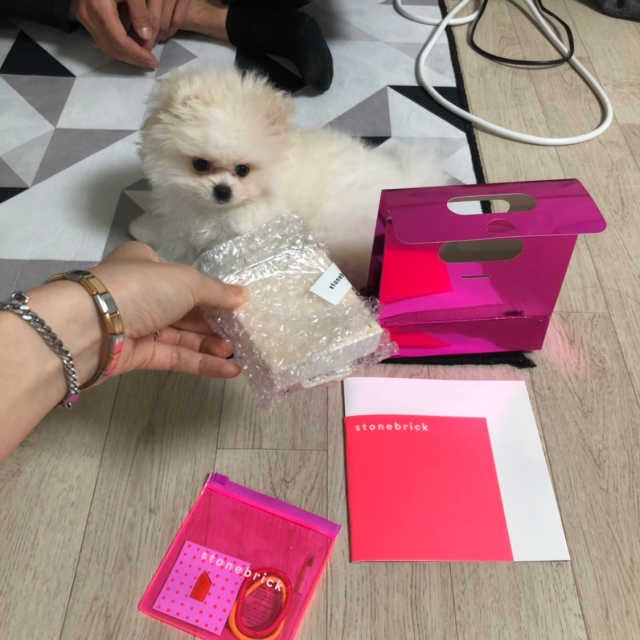 모이스트 비비 쿠션 리뷰 사진