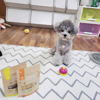 [브루클린펫코] 프리미엄 강아지 수제 쿠키 2종 SET — 5점을 준 리뷰어가 2020년 3월 올린 사용 사진