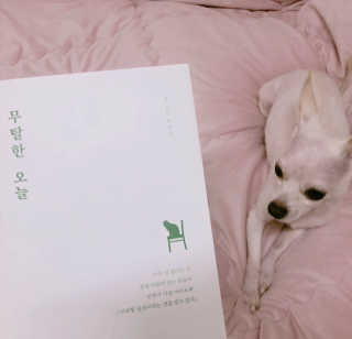 써니블리님이 올린 리뷰 사진 1