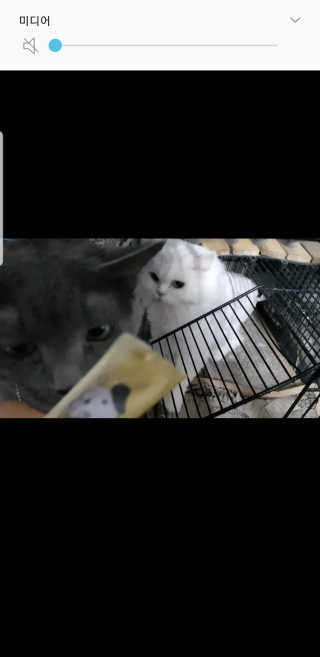 옹알이님이 올린 리뷰 사진 1