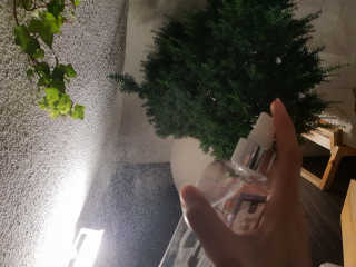 Joanne님이 올린 리뷰 사진 3