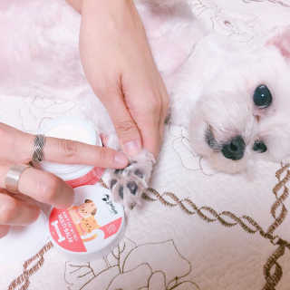 JiwooPark님이 올린 리뷰 사진 1