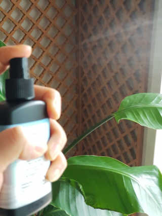 바디홀릭 다우트리스 라인 바디미스트 100ml — 5점을 준 리뷰어가 2019년 7월 올린 사용 사진