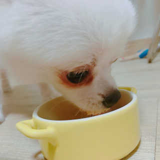 aevely님이 올린 리뷰 사진 2
