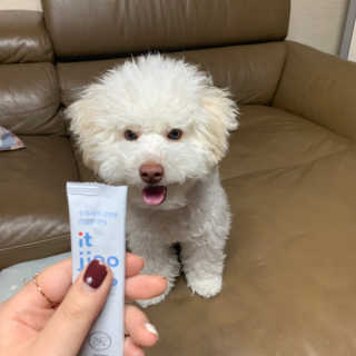 찐멍멍이님이 올린 리뷰 사진 1