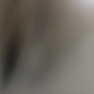 다니당근님이 올린 리뷰 사진 3