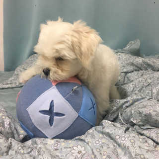 정꾸꾸님이 올린 리뷰 사진 1
