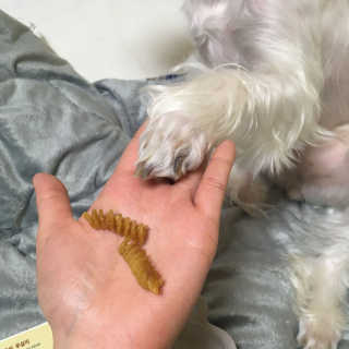솔이님이 올린 리뷰 사진 3
