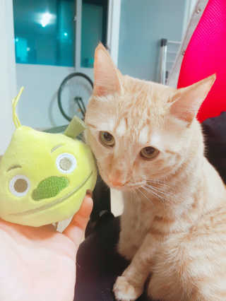 꾜이님이 올린 리뷰 사진 3