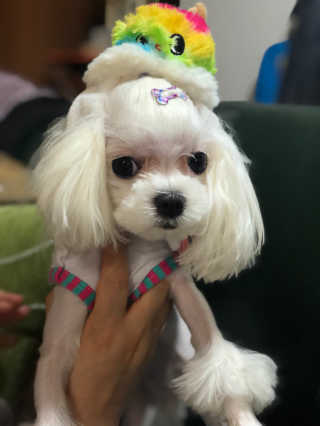 Ruru1412님이 올린 리뷰 사진 2