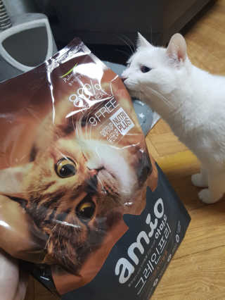 정이님이 올린 리뷰 사진 1