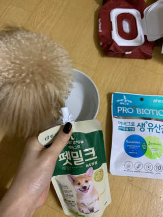[빙그레] 에버그로 생유산균 1봉（10포입）+펫밀크2팩 — 5점을 준 리뷰어가 2019년 5월 올린 사용 사진