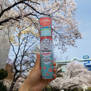 찌럽님이 올린 리뷰 사진 3