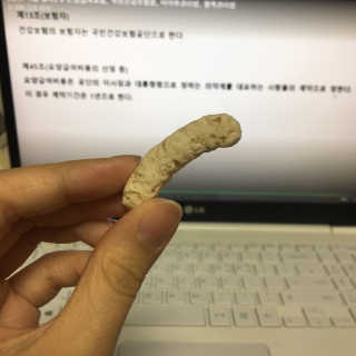 이예림님이 올린 리뷰 사진 4